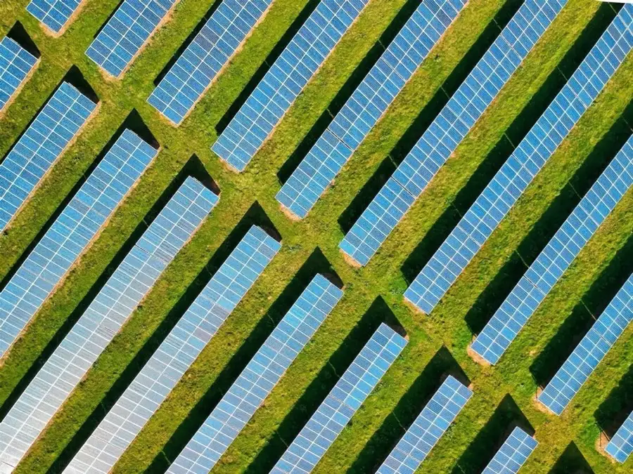 Vista aérea de un campo de paneles solares entre vegetación